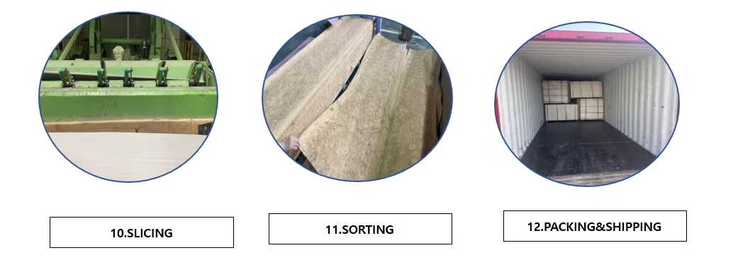 product-1034-374 product-1034-374